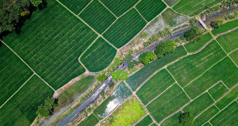 Mitigate the impact of our operations on the environment